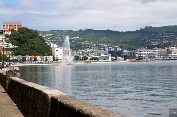 New Zealand 09 10  144